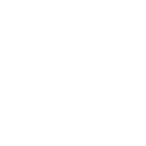 Evangelical Council for Financial Accountability Logo